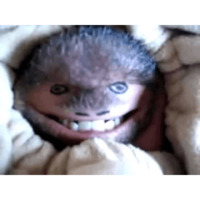 Подбородки