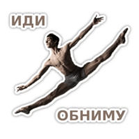 Спецкурс ШСТ