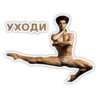 Спецкурс ШСТ