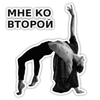 Спецкурс ШСТ
