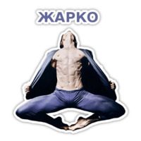 Спецкурс ШСТ