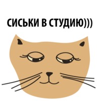 Кошка со смыслом