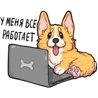 Корги Кодеры