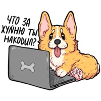 Корги Кодеры