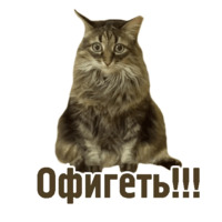 Комичные животные