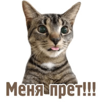 Комичные животные