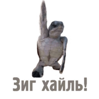 Комичные животные