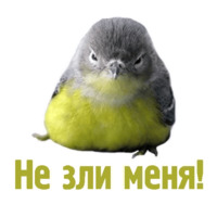 Комичные животные