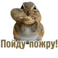 Комичные животные