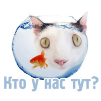 Комичные животные