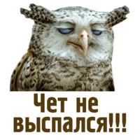 Комичные животные