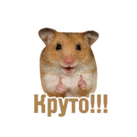 Комичные животные