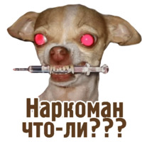 Комичные животные