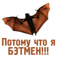 Комичные животные
