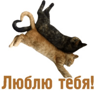 Комичные животные