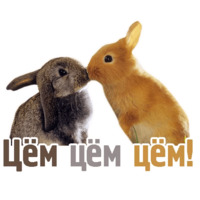 Комичные животные