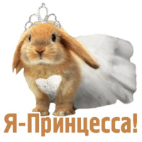 Комичные животные