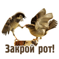 Комичные животные
