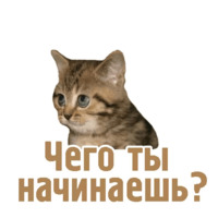 Комичные животные