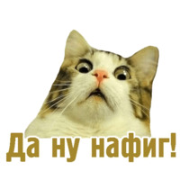 Комичные животные