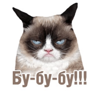Комичные животные