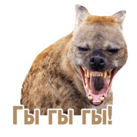 Комичные животные