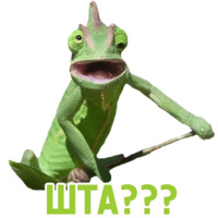Комичные животные