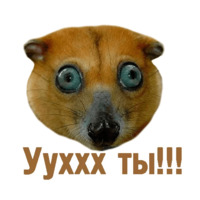 Комичные животные