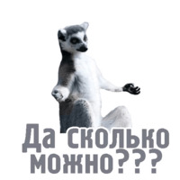 Комичные животные