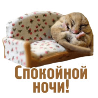 Комичные животные