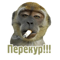 Комичные животные