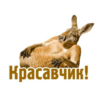 Комичные животные