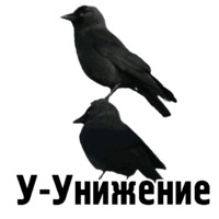 Комичные животные