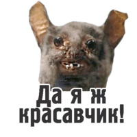 Комичные животные