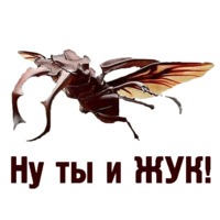 Комичные животные
