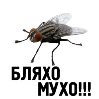 Комичные животные