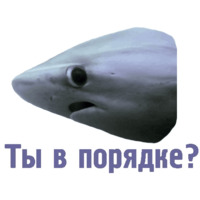 Комичные животные