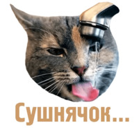 Комичные животные