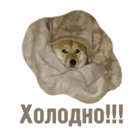 Комичные животные