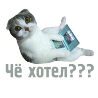 Комичные животные