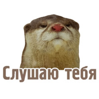 Комичные животные