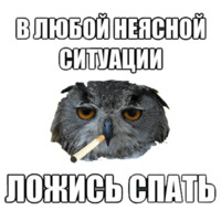 Сова-художник