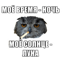 Сова-художник