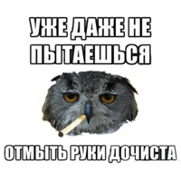 Сова-художник