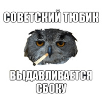 Сова-художник