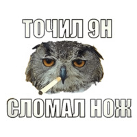 Сова-художник
