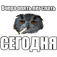 Сова-художник