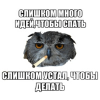 Сова-художник