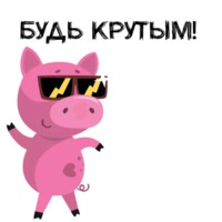 Свинка