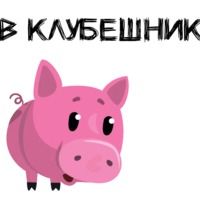 Свинка